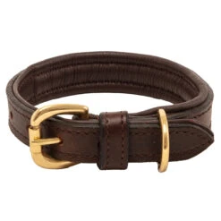 Weatherbeeta Padded Leather Dog Collar