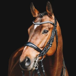 Schockemohle Equitus Gamma Anatomic Dressage Double Bridle