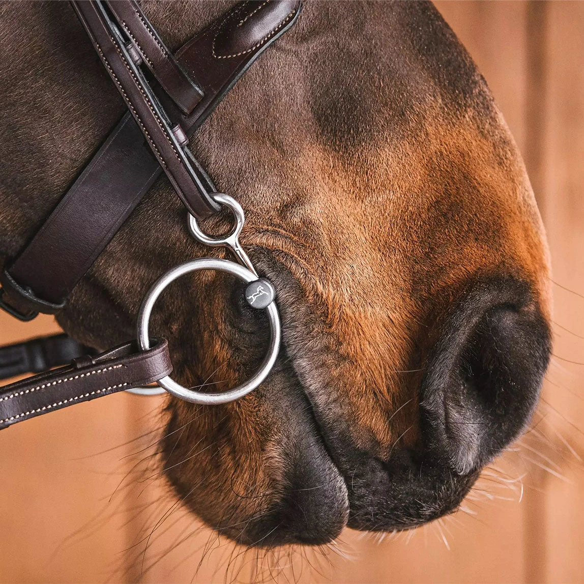 Fager Fredric Titanium Loose Baucher Bit - Test Ride Bit - Image 2