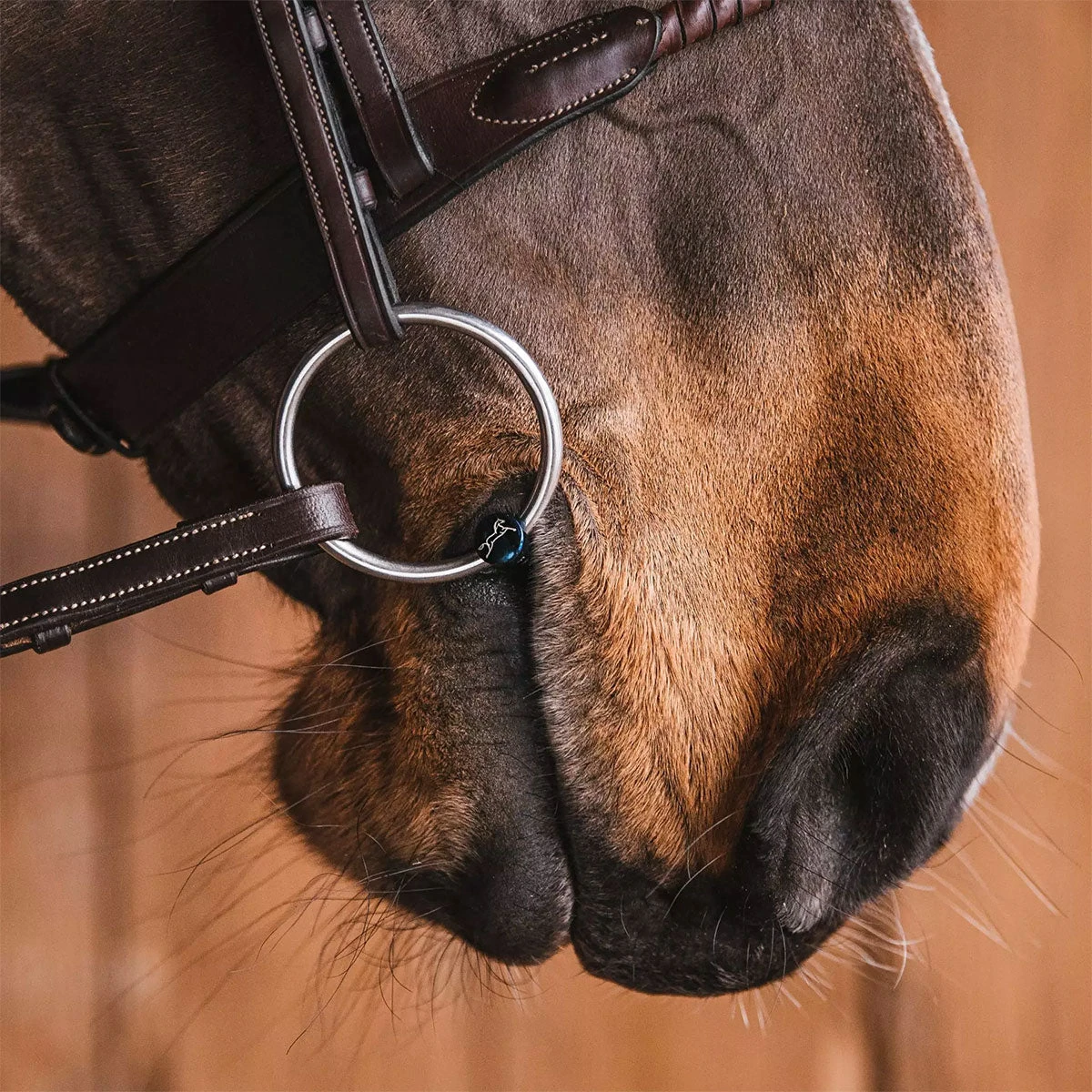 Fager Oscar Titanium Loose Ring Bit - Test Ride Bit - Image 2