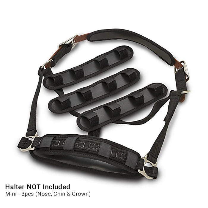Flexible Filly Halter Liners