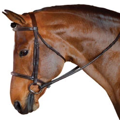 M Toulouse MTL Standard Hunter English Bridle