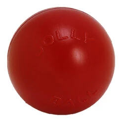 Jolly Pets Push N Play Ball 10 Inch