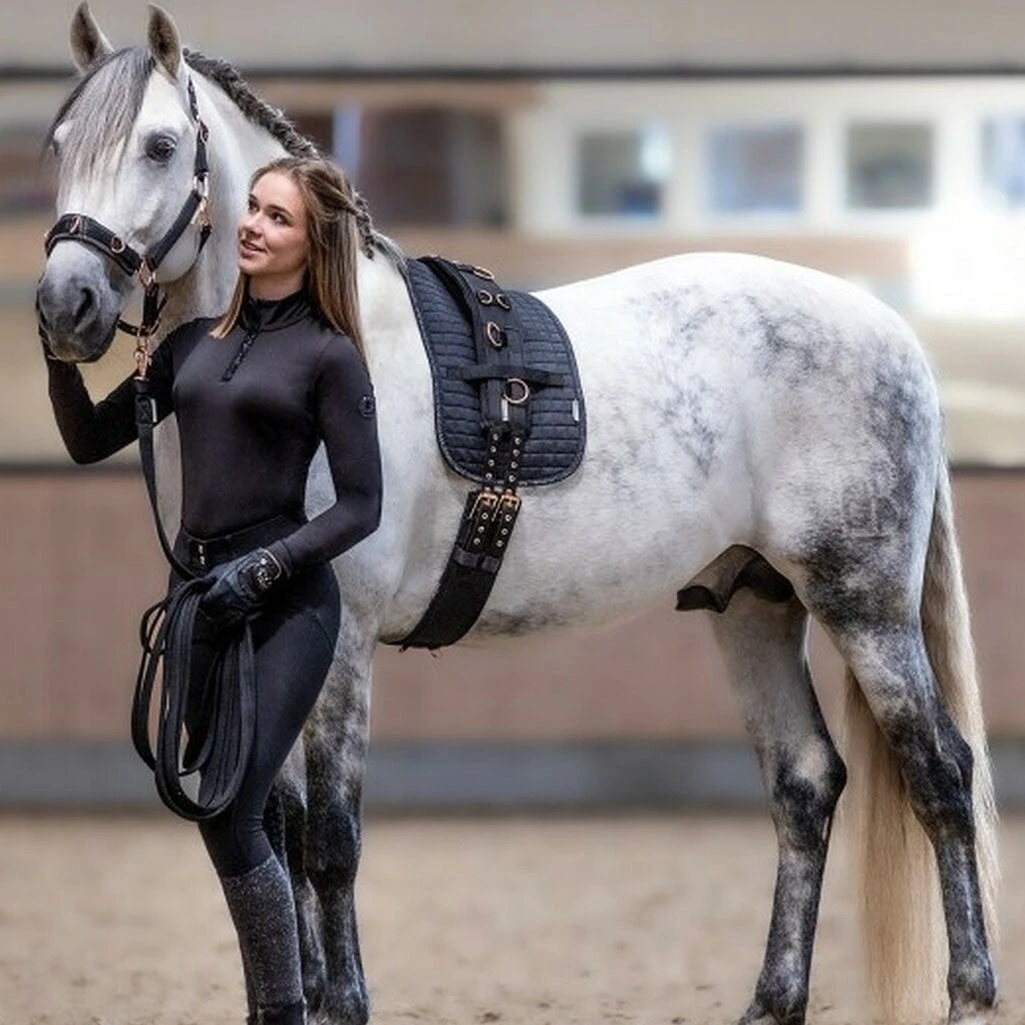 Waldhausen Quilted Surcingle Pad - Image 2