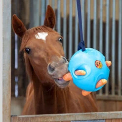 Carrot Ball Enrichment Toy