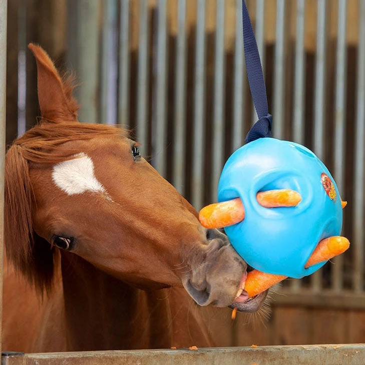 Carrot Ball Enrichment Toy - Image 4