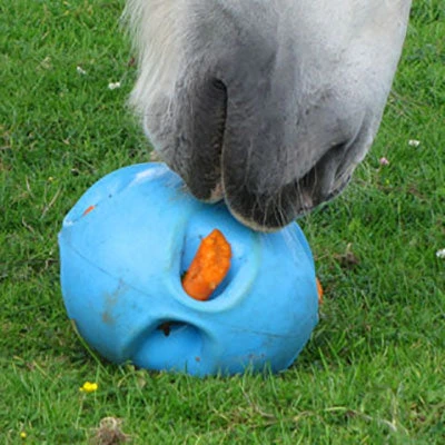 Carrot Ball Enrichment Toy - Image 2