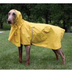 Puddles Rain Coat With Hood