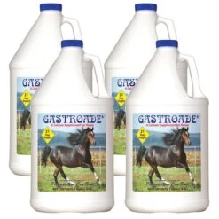 Cox Vet Labs Gastroade - Gallon Case Of 4