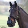 GreenGuard Breakaway Halter