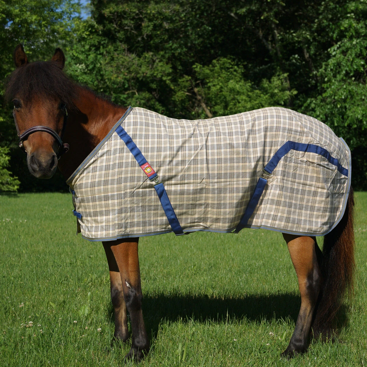 5/A Baker Sheet Miniature Horse Original Plaid - Image 2