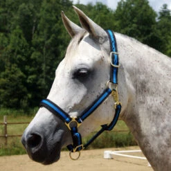 Country Pride Padded Two Tone Nylon Halter