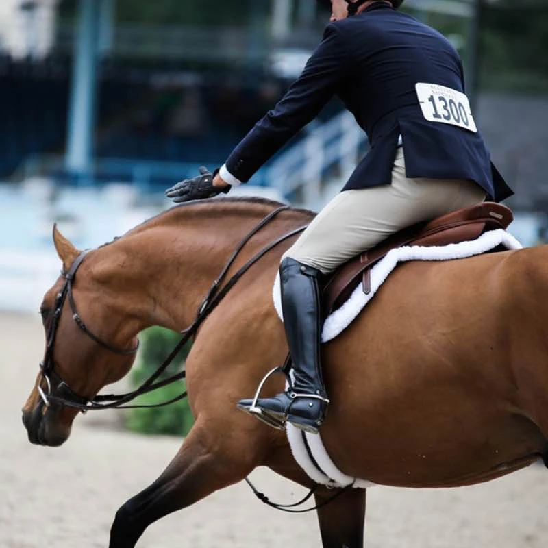 Ecogold Secure Hunter Shaped Saddle Pad - Image 3