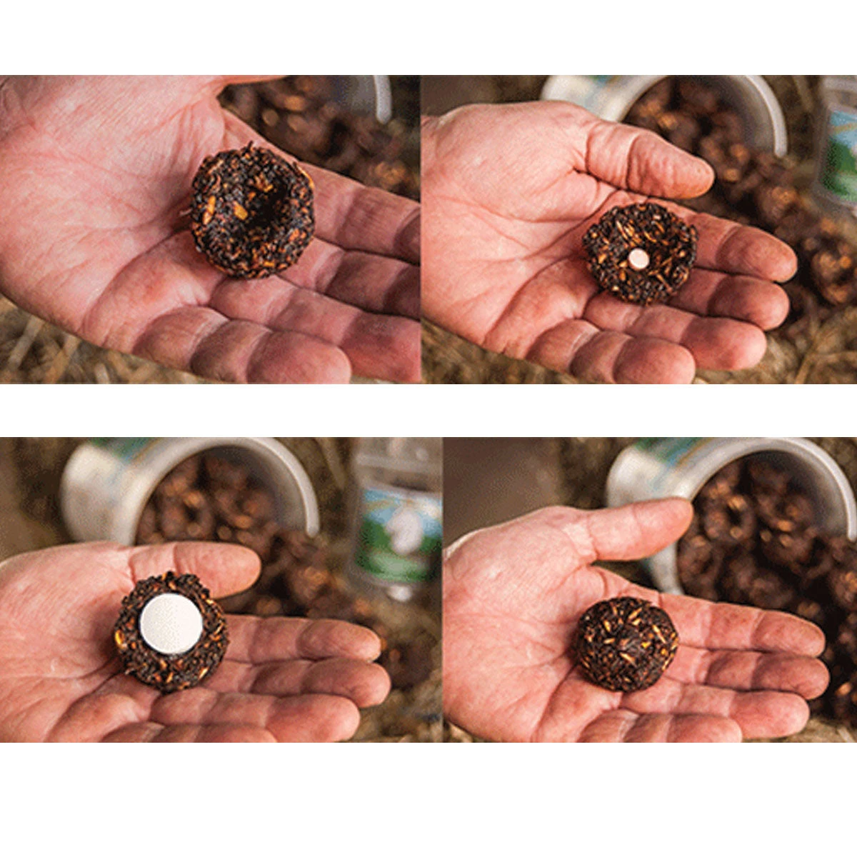 Dimples Horse Treat 3 Lb - Image 2