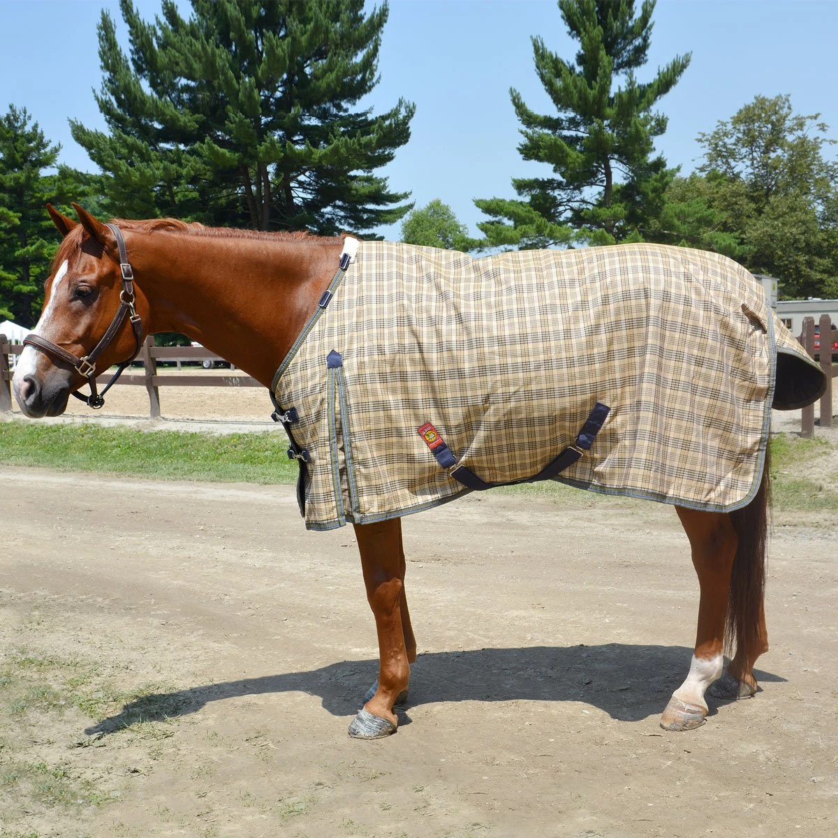 5/A Baker Turnout Blanket Medium Weight 200gm - Image 2