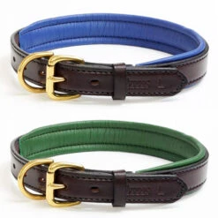 Perris Padded Leather Dog Collar