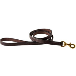 Perris Plain Leather Dog Leash