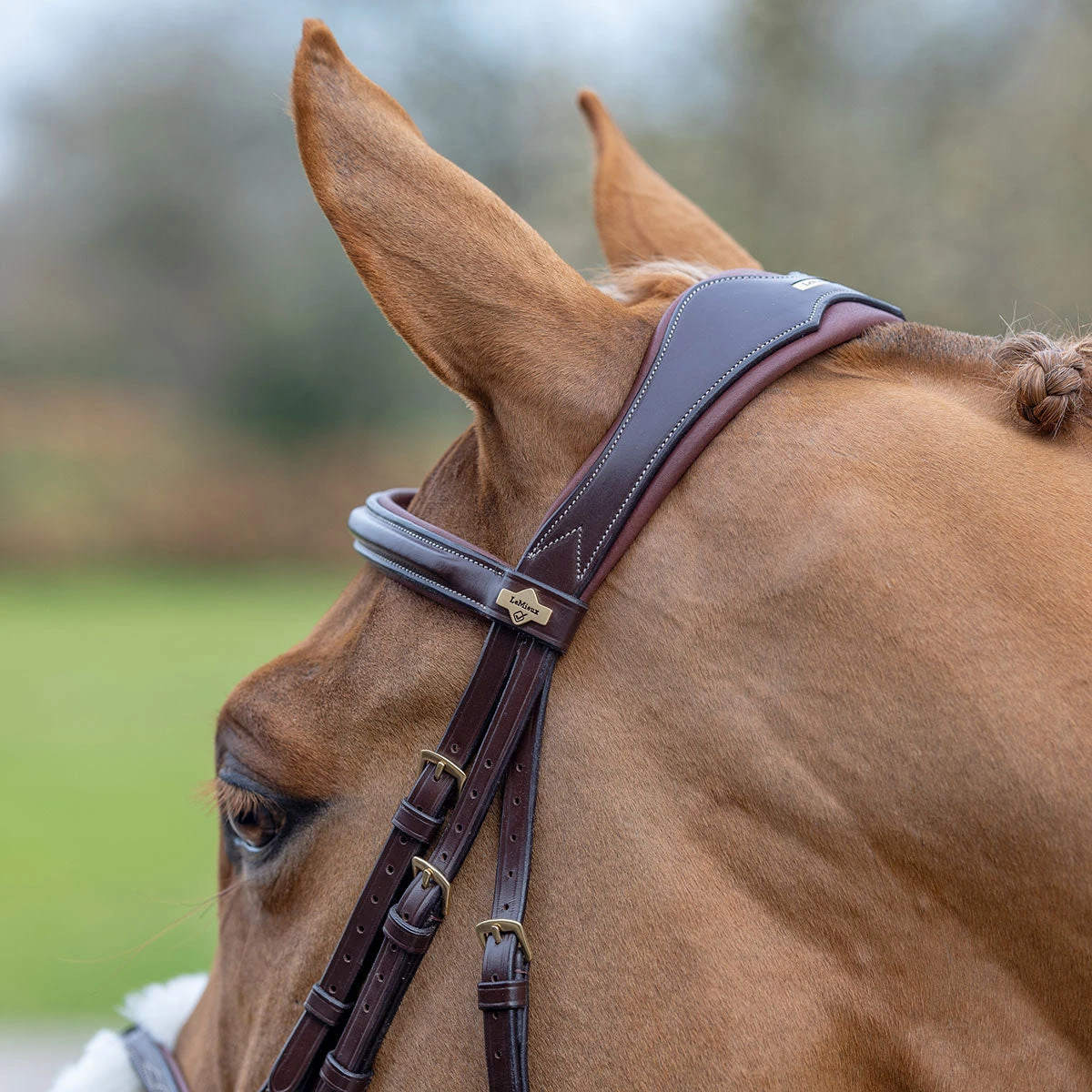 LeMieux Grackle Figure-8 Bridle - Image 5