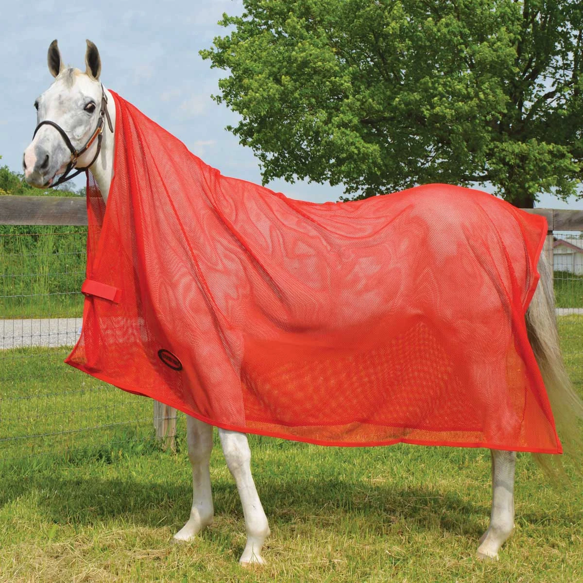 Country Pride Cooler Style Fly Scrim - Image 2